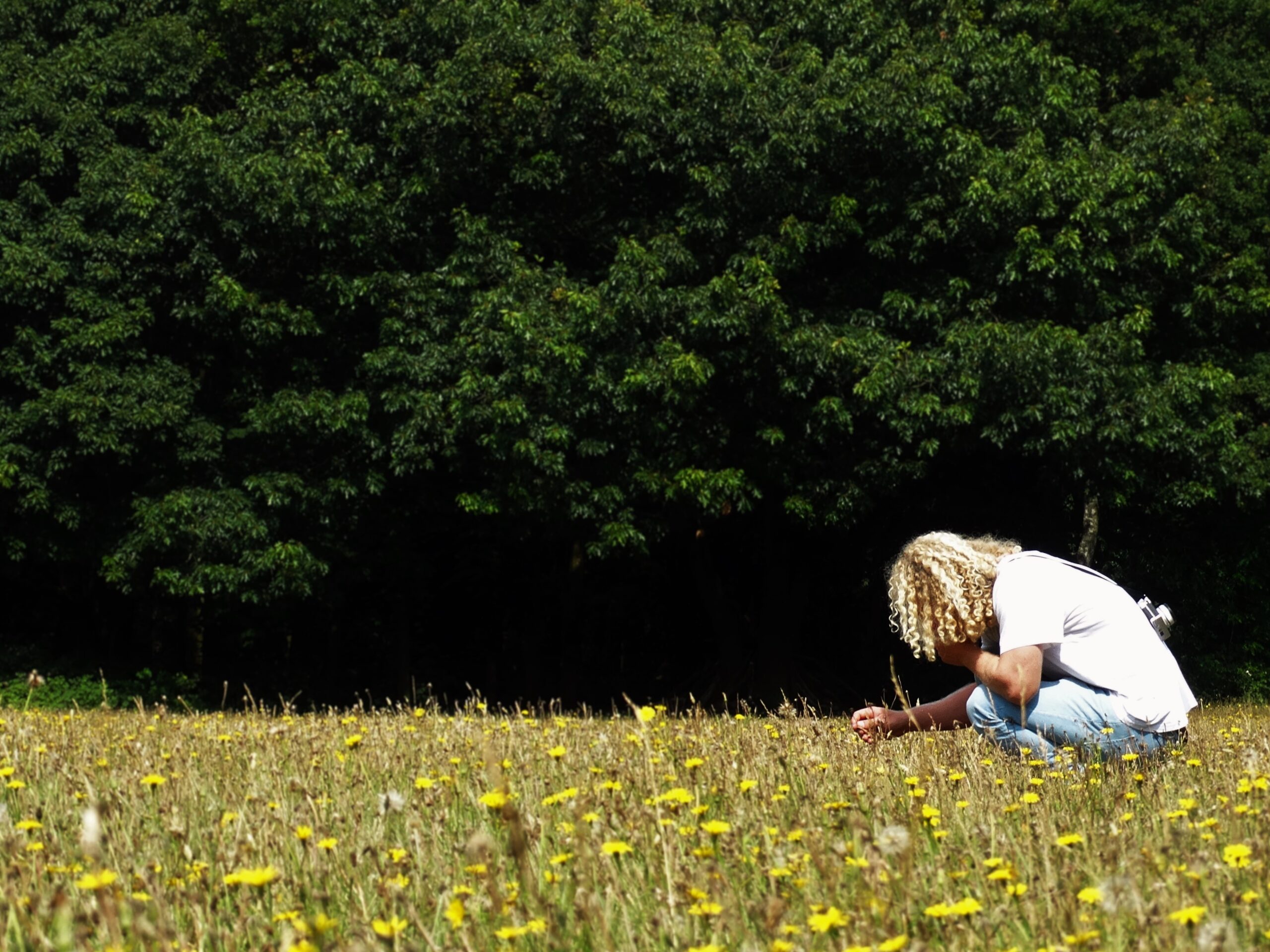 4 Eetbare Natuur Excursie
