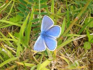 8 Duin Safari Noordwijk Excursie Teambuilding