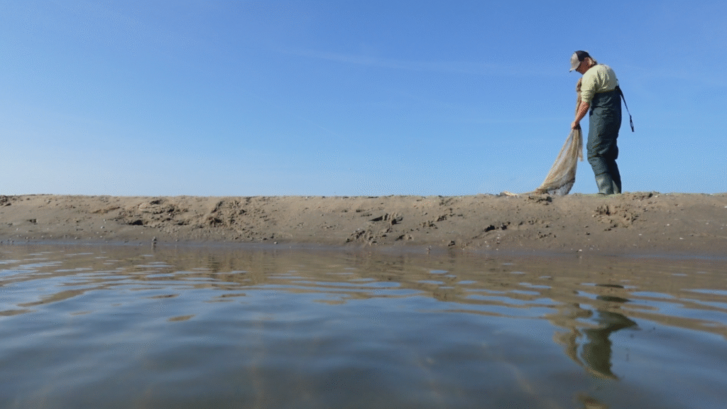 Net Teambuilding StrandGarnalen vissen excusie