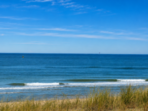 Natuur Kamp Outdoor Noordwijk Noordwijkoutdoor Excursie Dagkamp Strand Kamp Camp Surfcamp Surfkamp 1